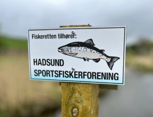 Nyt fiskevand i Villestrup Å.