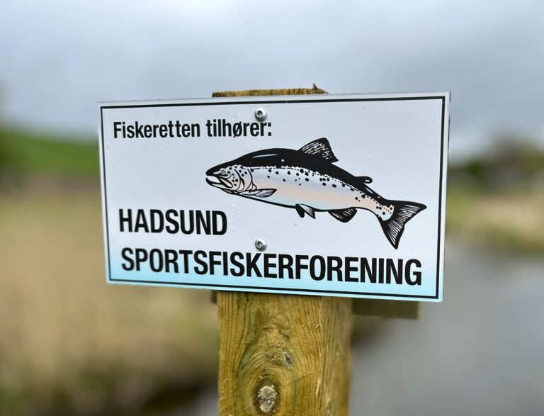 Nyt fiskevand i Villestrup Å.