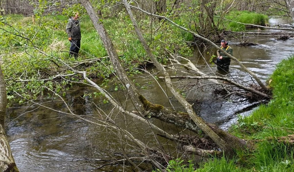 Arbejder ved åen 2025 - 2
